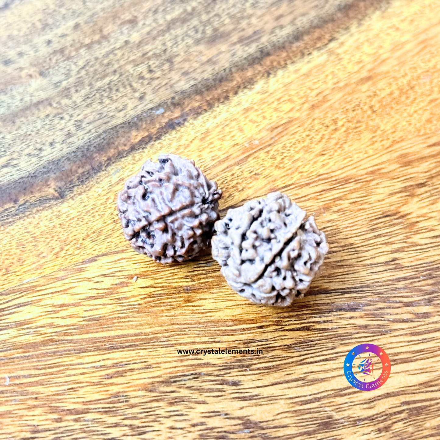 Disciplined Power 6 Mukhi Rudraksha Loose Beads