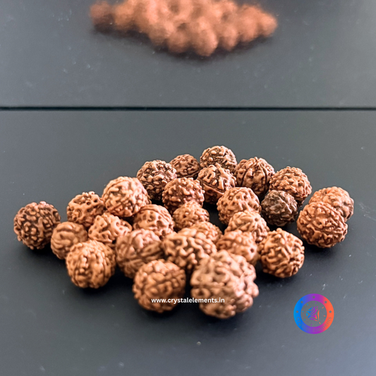 Sacred Wisdom Panch Mukhi Rudraksha Loose Beads