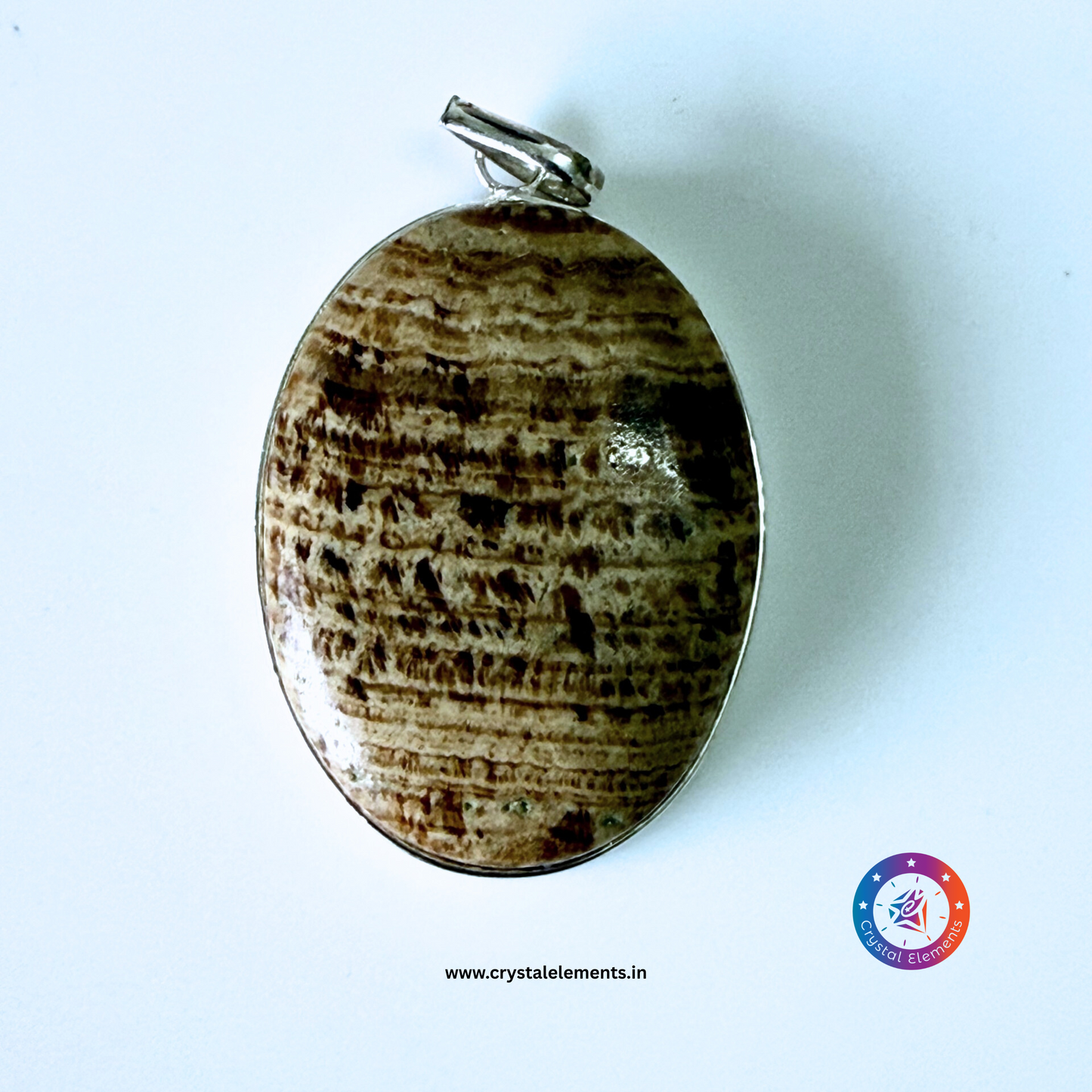 Ancient Wisdom & Grounding Calm Petrified Wood Pendant