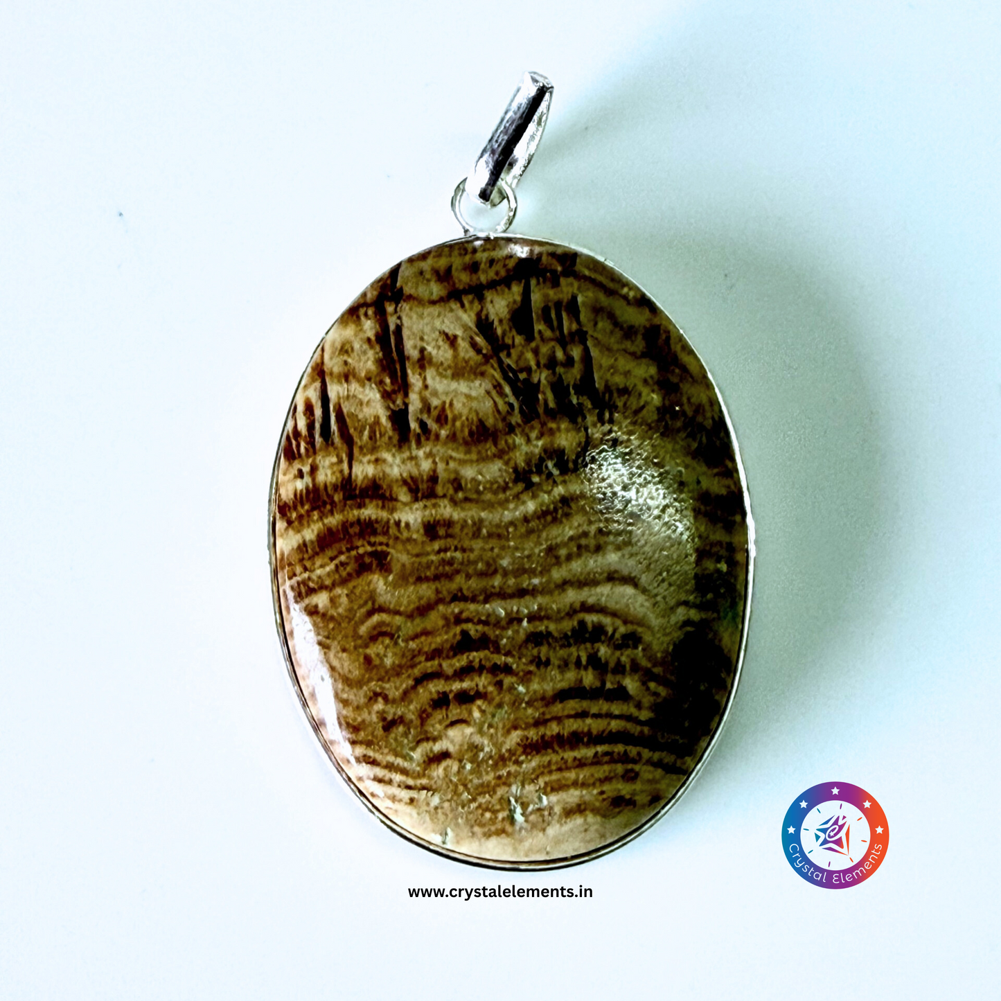 Ancient Wisdom & Grounding Calm Petrified Wood Pendant