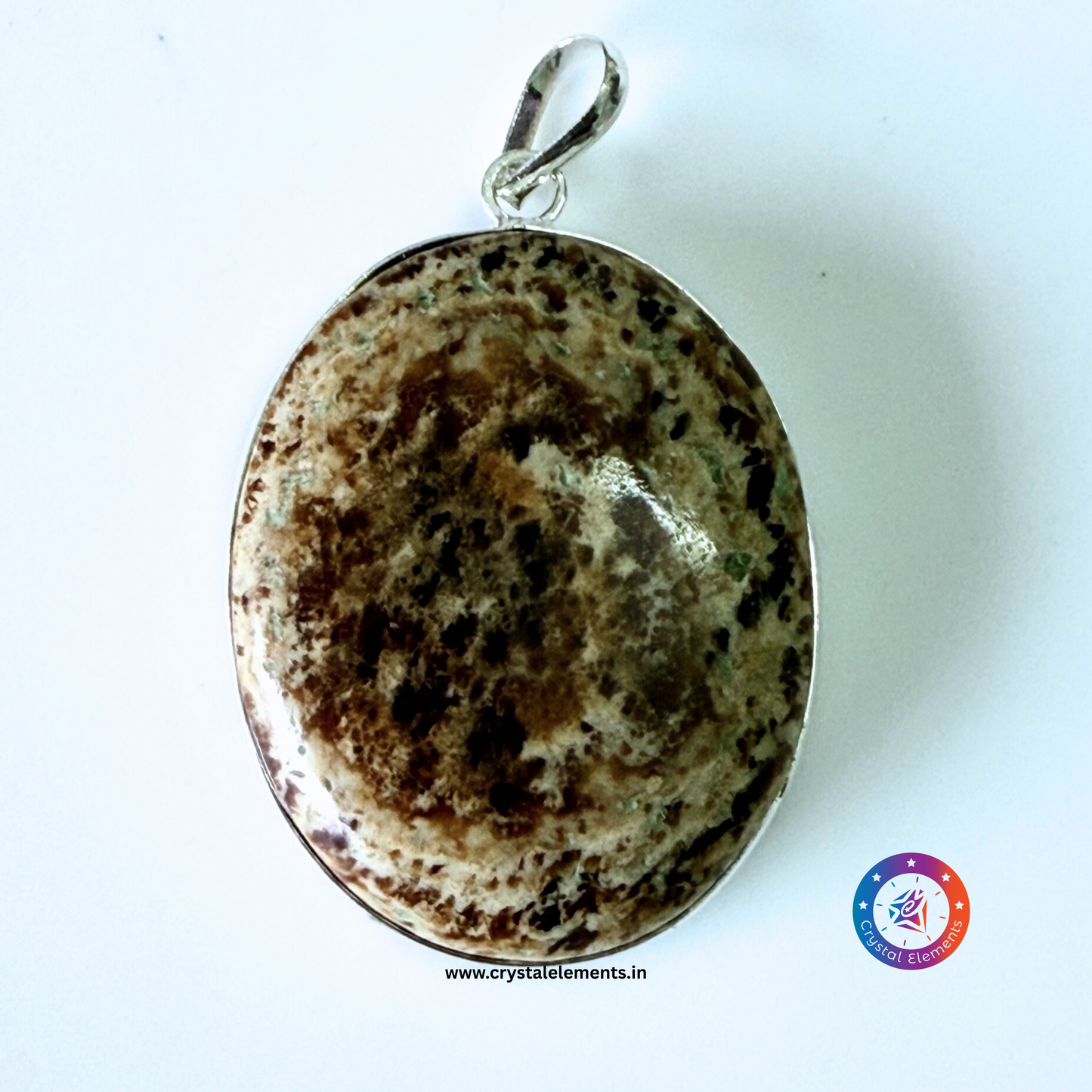 Ancient Wisdom & Grounding Calm Petrified Wood Pendant